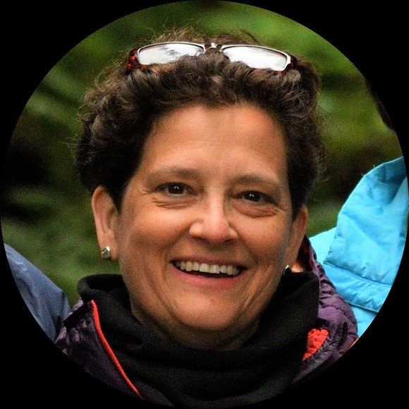 lisabsal